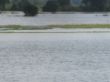 Hochwasser Leine 2017 Liethe.JPG