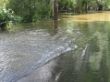 Hochwasser Leine 2017 vor Bordenau 3.JPG