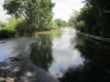 Hochwasser Leine 2017 vor Bordenau.JPG